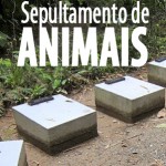 sepultamento_animais